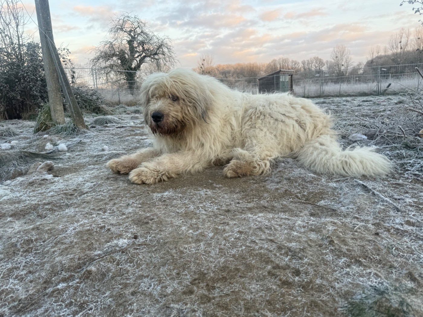 Nazar de marian barcun