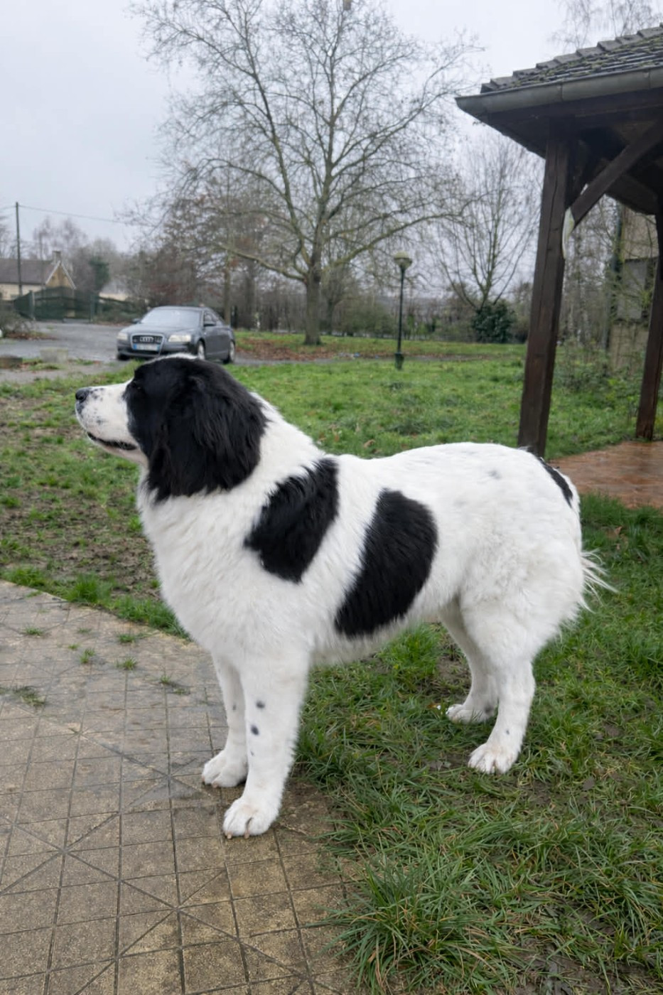 VAILLANT  De La Lande De Montecouplet