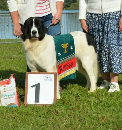 FRIDA BARBA DI BATELINA